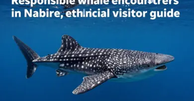 Responsible Whale Shark Encounters in Nabire: Codes of Conduct, Best Season, and Ethical Visitor Guide