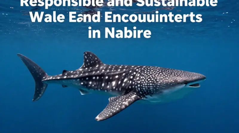 What Makes Whale Shark Encounters in Nabire Responsible and Sustainable?