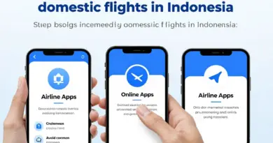 How to book domestic flights in Indonesia step-by-step: online booking tips, promo hunting, using airline apps, and avoiding common booking mistakes