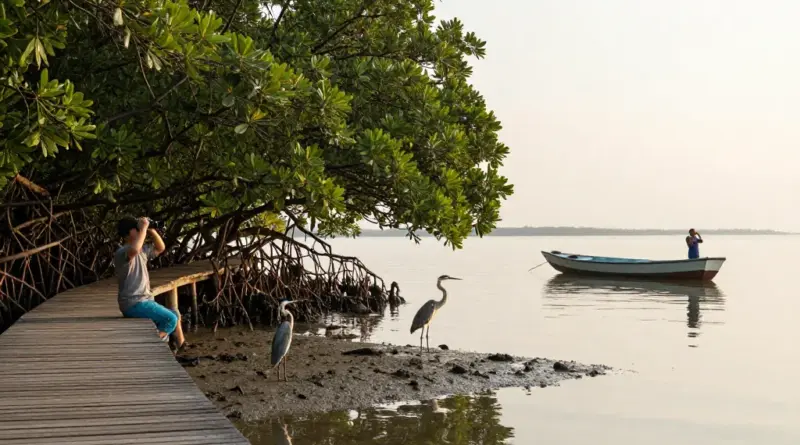 Mangrove and Wetland Tours Near Jakarta: Best Quiet Birding Spots, What to Expect, and How to Plan Your Trip