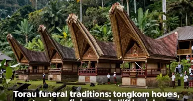 Overview of Toraja Funeral Traditions and Their Cultural Significance — what tongkonan houses, tau-tau effigies, and burial cliff practices mean historically and spiritually