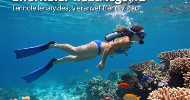 Snorkeling Best Practices in Indonesia: How to Swim, Gear Up, and Avoid Damaging Reefs