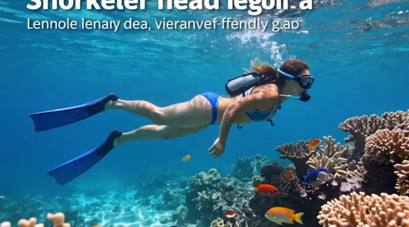 Snorkeling Best Practices in Indonesia: How to Swim, Gear Up, and Avoid Damaging Reefs