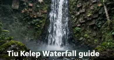 Tiu Kelep Waterfall Guide: Best Time, Trekking Tips, and Local Highlights
