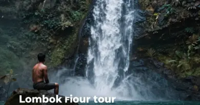 Waterfall Hopping in Lombok North: A Complete Guide to Sendang Gile, Tiu Kelep, and Beyond
