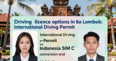 What type of driving license do you need in Bali and Lombok? (International Driving Permit, Indonesian SIM C, and how to convert/validate)