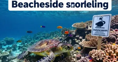 Why Indonesia’s Coral Reefs Need Protection and What Snorkelers Should Know About Local Ecosystems