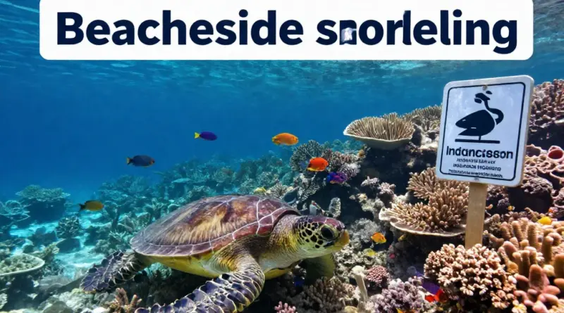 Why Indonesia’s Coral Reefs Need Protection and What Snorkelers Should Know About Local Ecosystems