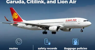 Why choose between Garuda, Citilink, and Lion Air? Comparing routes, fares, safety records, and baggage policies for domestic travel in Indonesia