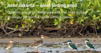 Why choose mangrove and wetland tours near Jakarta? Understanding birding without the crowds and who these tours are for