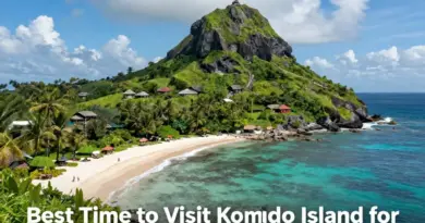 Best Time to Visit Komodo Island for Dragons, Diving, and Island Hopping