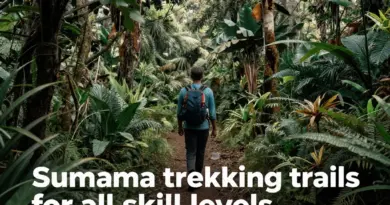 Best Trekking Trails in Sumatra for Every Skill Level