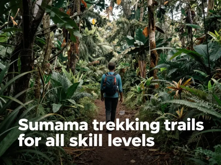 Best Trekking Trails in Sumatra for Every Skill Level