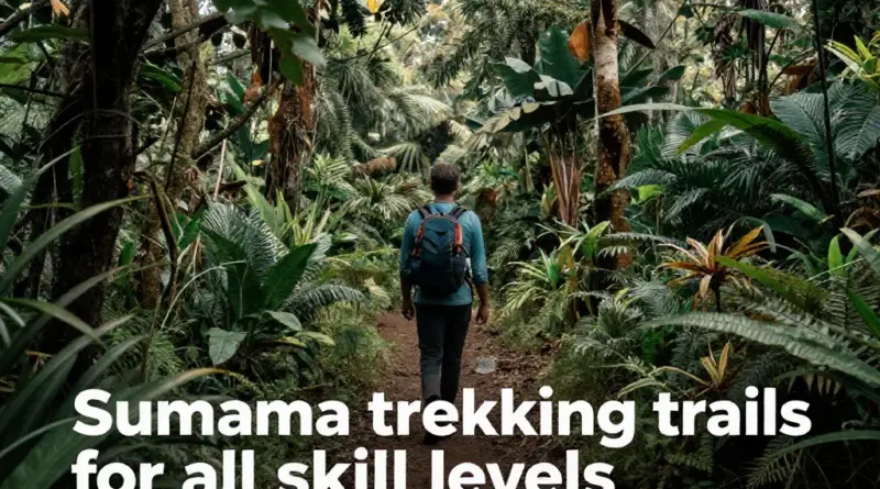Best Trekking Trails in Sumatra for Every Skill Level
