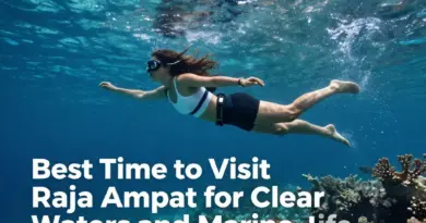 Best Time to Visit Raja Ampat for Clear Waters, Marine Life, and Smooth Travel