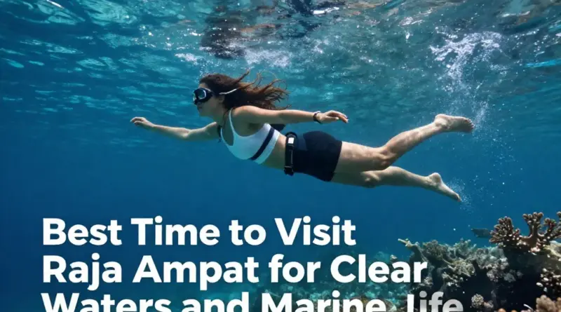 Best Time to Visit Raja Ampat for Clear Waters, Marine Life, and Smooth Travel