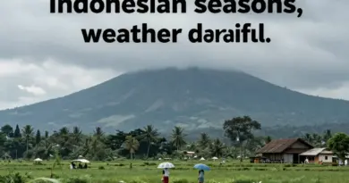 How Indonesia’s Seasons Work: Understanding Weather, Rainfall, and Regional Differences