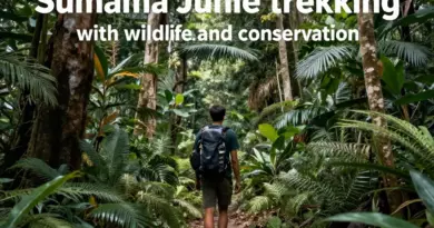 Trekking in Sumatra: The Best Trails, Wildlife Encounters, and Conservation Adventures