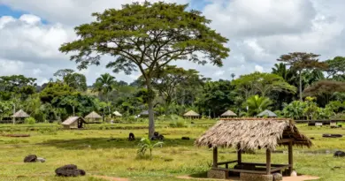 Where Are the Sumba Megaliths Located and How Do You Get There?